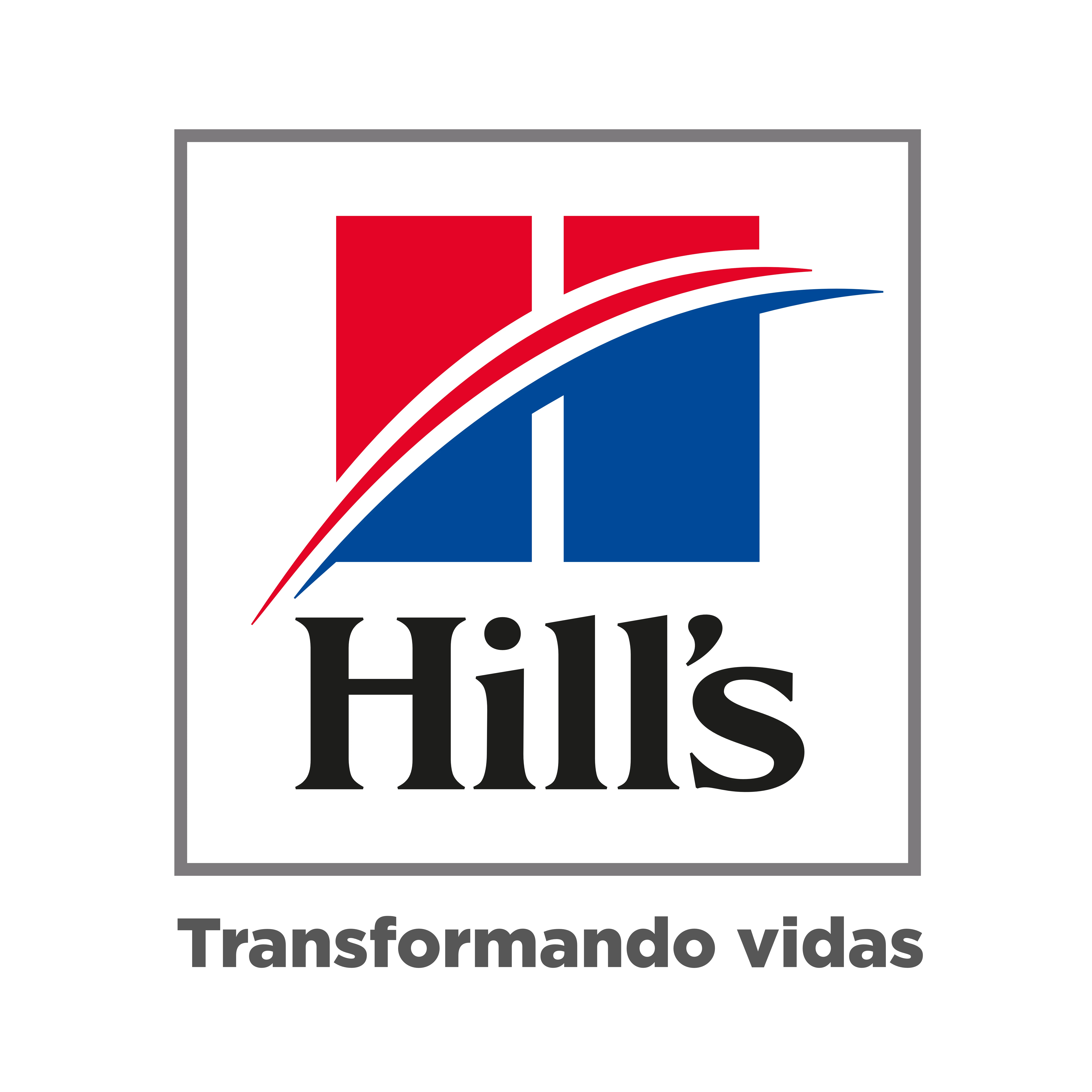 Hills - Transformando Vidas Logo de Hills - Transformando Vidas