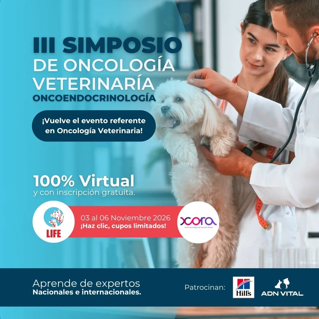 Veterinaria examinando con cuidado a un perro en una clínica